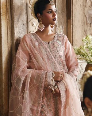 ED1 3Pc Unstitched Embroidered Suit